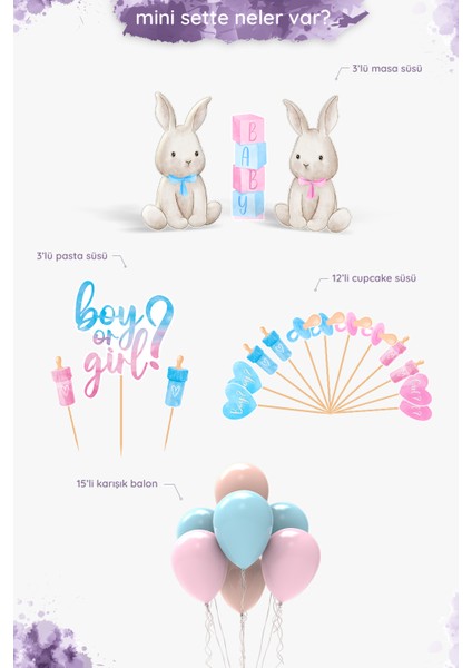 Cinsiyet Partisi Seti - Little Bunny - Mini