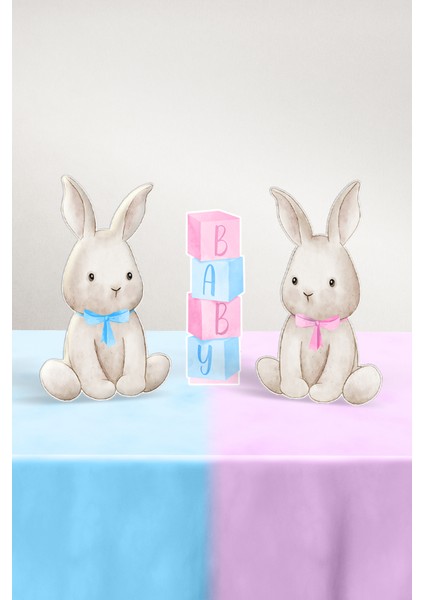 Cinsiyet Partisi Seti - Little Bunny - Mini