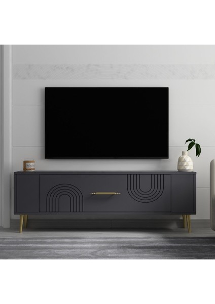 RETROL2DH Tv Sehpası Antrasit Altın