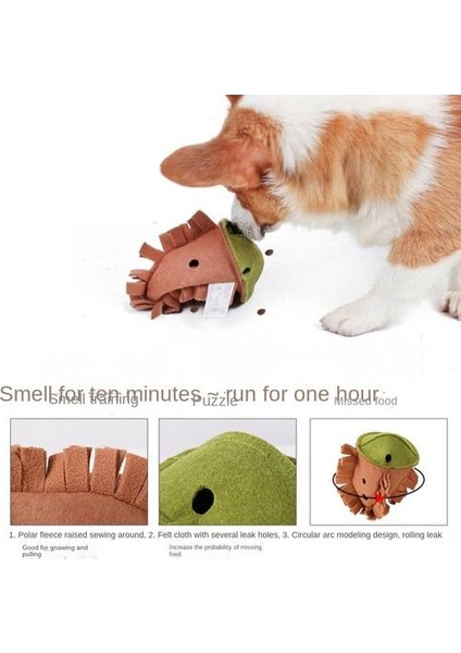 Pet Somun Peluş Çiğneme Oyuncak, Diş Taşlama, Koklama, Gıda Saklama ve Sızıntı, Eğitim Eğitimi (Yurt Dışından) fırsatları