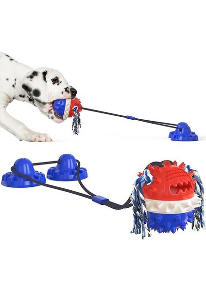 Pet Köpek Molar Oyuncak, Isırık Dayanıklı Molar Top, Enayi (Mavi) ile (Yurt Dışından)
