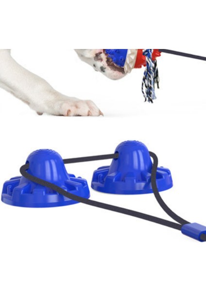 Pet Köpek Molar Oyuncak, Isırık Dayanıklı Molar Top, Enayi (Mavi) ile (Yurt Dışından) fırsatları