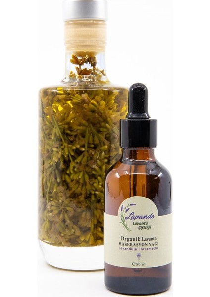 Lavande Organik Lavanta Masaj YAĞI-50ML