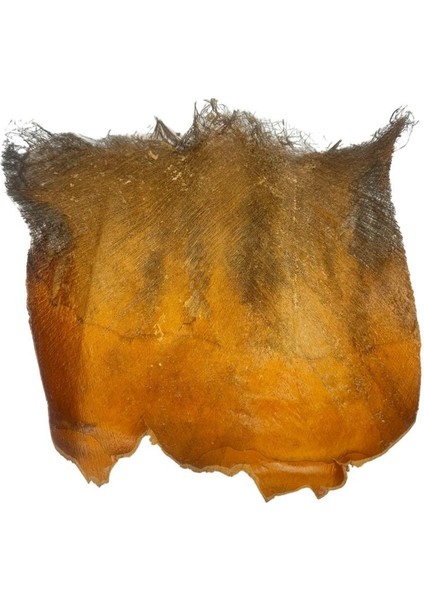 5 Adet Kurutulmuş Palmiye Ağacı Kabuğu Lifi Natural Ağaç Gövdesi Kokos