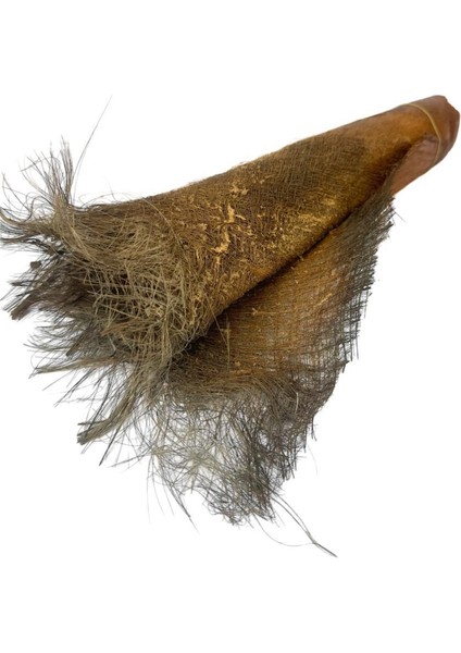 5 Adet Kurutulmuş Palmiye Ağacı Kabuğu Lifi Natural Ağaç Gövdesi Kokos modelleri
