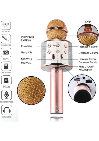 Bluetooth Karaoke Mikrofon (4767) - FEİ9713-7360