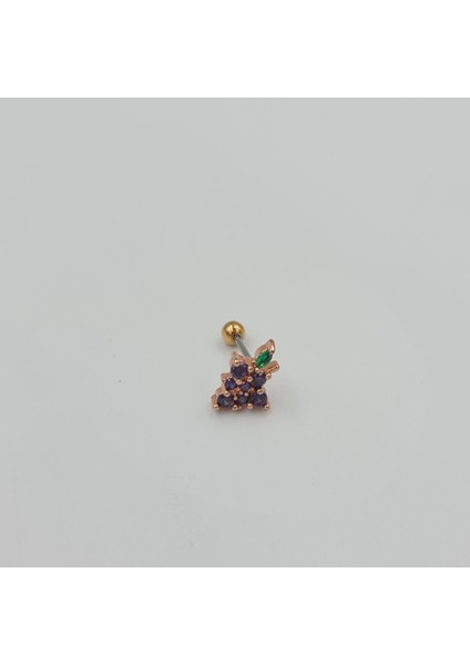 Cerrahi Çelik Rose Mor Taşlı Üzüm Küpe Tragus Helix Kıkırdak Piercing modelleri