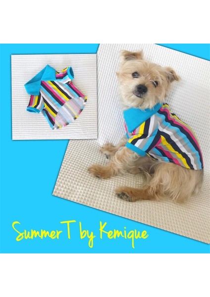 Mavi Gökkuşağı - Polo Yaka Tişört - Summer Köpek Elbisesi