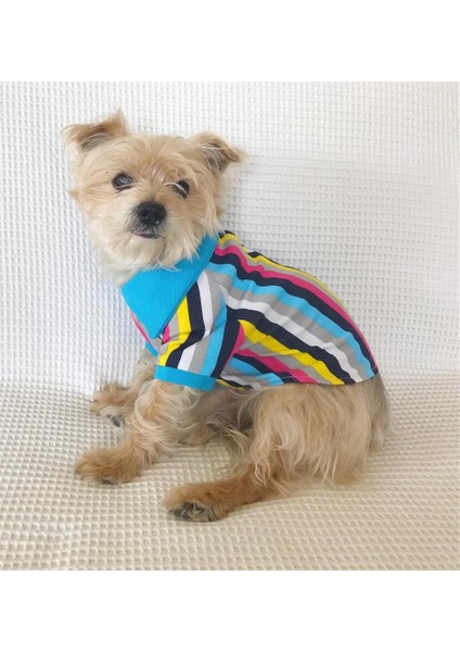 Mavi Gökkuşağı - Polo Yaka Tişört - Summer Köpek Elbisesi fiyatları
