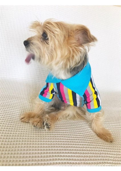 Mavi Gökkuşağı - Polo Yaka Tişört - Summer Köpek Elbisesi indirimleri