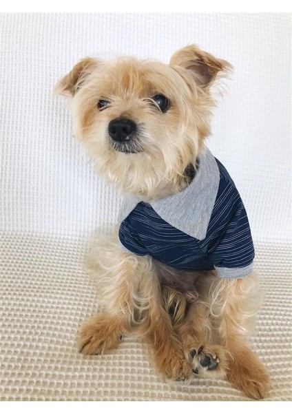 Lacivert Gri- Polo Yaka Tişört - Summer Köpek Elbisesi fiyatları