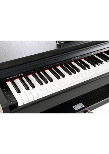 LDP-17BK Dijital Piyano (Kulaklık ve Tabure Hediyeli)