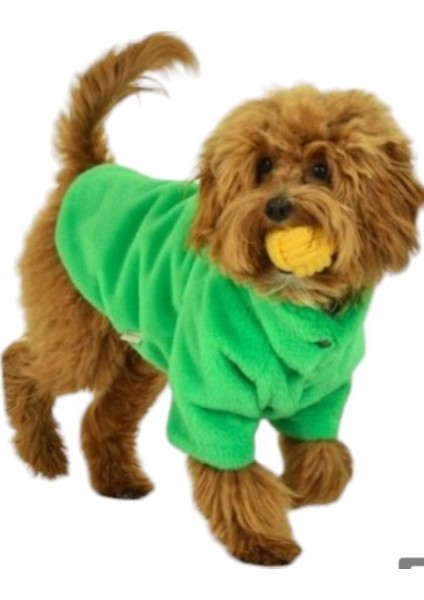 Toscano Yeşil Küçük Irk Köpek Peluş Kaban (2,5 kg-8 kg arasına uygun)