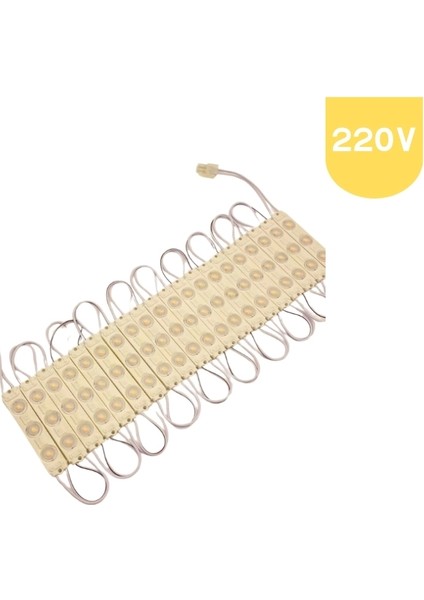 220 Volt 2 Watt 3 Lensli Beyaz 2835 Smd LED Modül IP65 10 Adet Modül