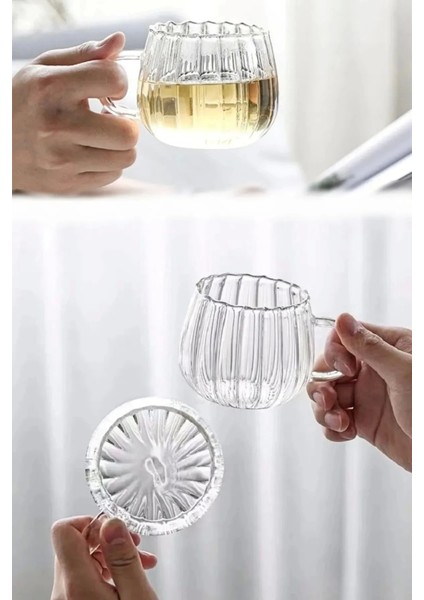 4lü Çizgili Still Cam Bardak 250 ml Isıya Dayanıklı Kulplu Çay Fincanı Kahve Sunum Bardağı Kupa fiyatları