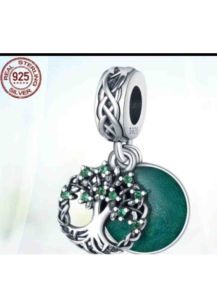 Gümüş Charm