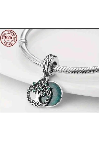 Gümüş Charm