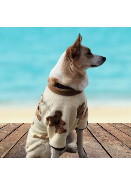 Bear Premium Peluş Orta Irk Köpek Sweatshirtü (8 Kg-20 kg Arası Köpeklere Uygundur) fırsatları