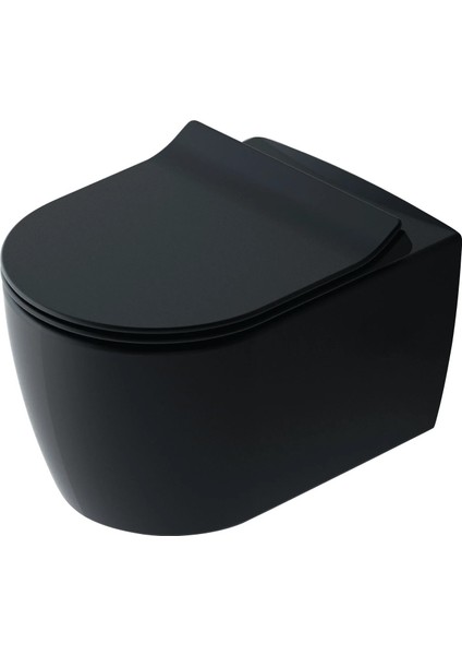 Idevit Alfa Duroplast Ultra Ince Yavaş Kapanır Klozet Kapağı Mat Siyah 53-02-06-022