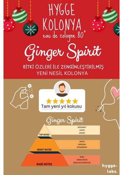 Tekno Trust Hygge Ikonik Yeni Yıl Kolonyası - Kalbe Dokunan Ginger Spi-Rit Yılbaşı Christmas Kokusu 100M fırsatları