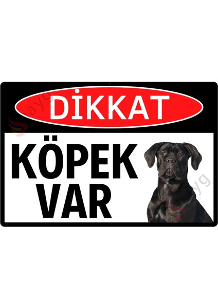 Fotoğraflı Dikkat Köpek Var Dekota Uyarı ve Yönlendirme Tabelası -Uv Baskılı Dekoratif Levha