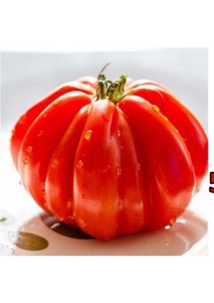 20 Adet Italyan Ceneviz Domates Tohumu