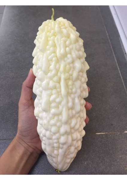 10 Adet White Large Bitter Kavun Tohumu