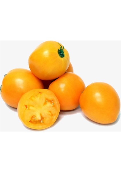 Ithal Nadit Cherry Turuncu Domates Tohumu 10 Adet Tohum