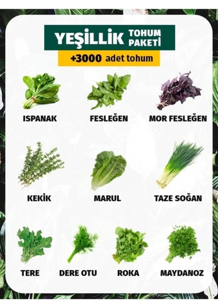 10 Çeşit Yeşillik Tohum Paketi 3000 Tohum