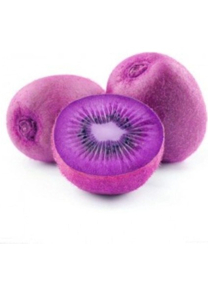 Nadir Ithal Mor Kivi Ağacı Tohumu 5 Adet Tohum Purple Kivi
