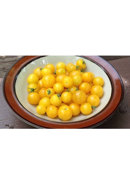 20 Adet Yellow Canary Micro Dwarf Domates Tohumu