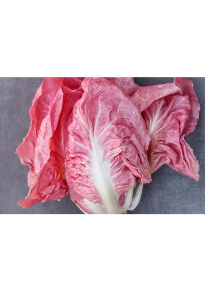 100 Adet Ithal Pembe Marul Tohumu