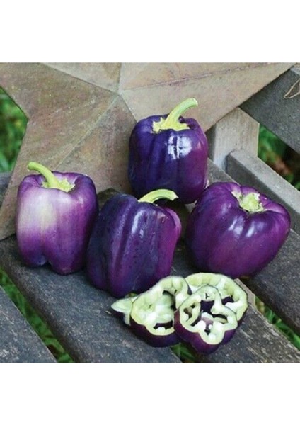 40 Adet Sweet Lilac Bell Dolmalık Biber Tohumu modelleri