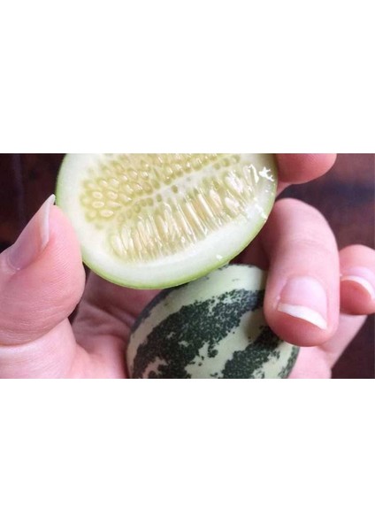 10 Adet Cucamelon Vine Tohumu