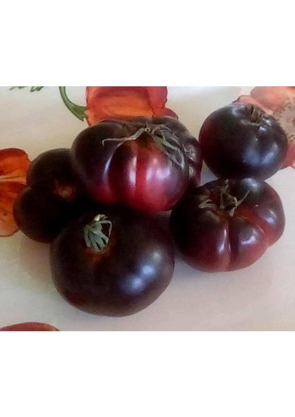 20 Adet Black Krim Domates Tohumu