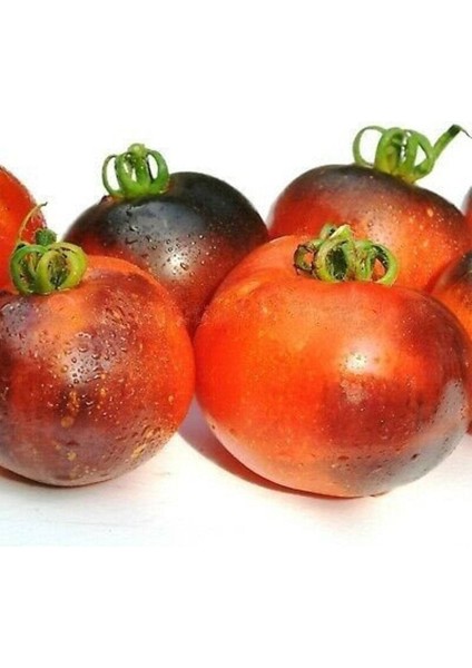 20 Adet Cosmos Domates Tohumu