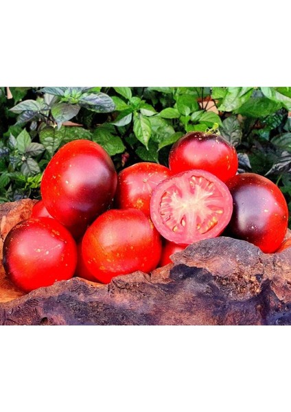20 Adet Cosmos Domates Tohumu
