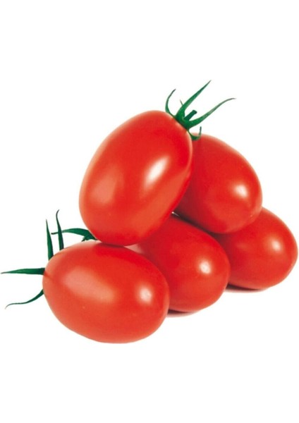 Saksılık Zeytin Domates Tohumu 40 Adet Tohum Kahvaltılık Domates Tohumu