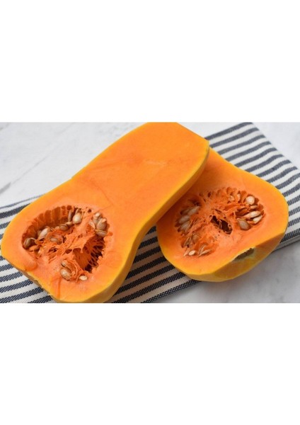 5 Adet Pumpkin Butternut Sweet Bal Kabağı Tohumu