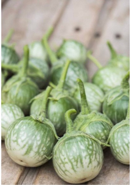 50 Adet Petch Siam Thai Patlıcan Tohumu