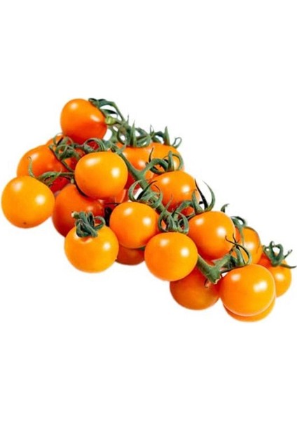 20 Adet Golden Cherry Domates Tohumu