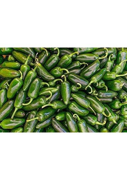 20 Adet Early Jalapeno Biber Tohumu