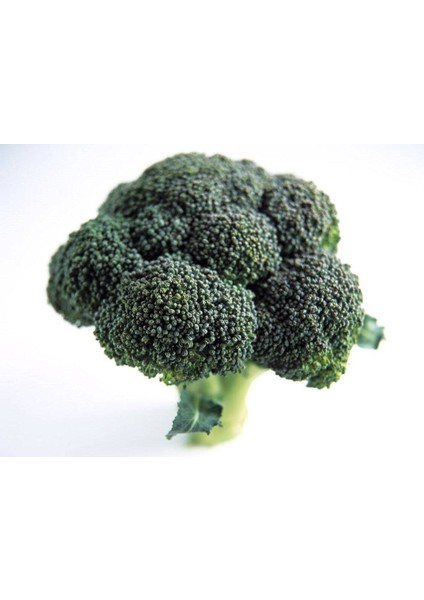 20 Adet Sproutıng Broccolı Tohumu