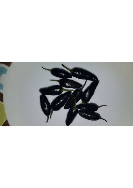 20 Adet Black Jalapeno Biber Tohumu