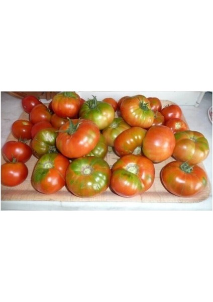 Agrobazaar Yayla Domates Tohumu 25 Adet Tohum