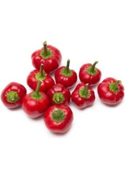 Süper Paket 500 Adet Tohum Nadir Ithal Cherry Kiraz Biberi Tohumu Biber Tohumu fiyatları