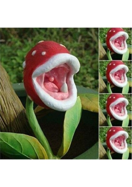 Etçil Etobur Sinek Kapan Bitkisi Tohumu 5 Adet Tohum