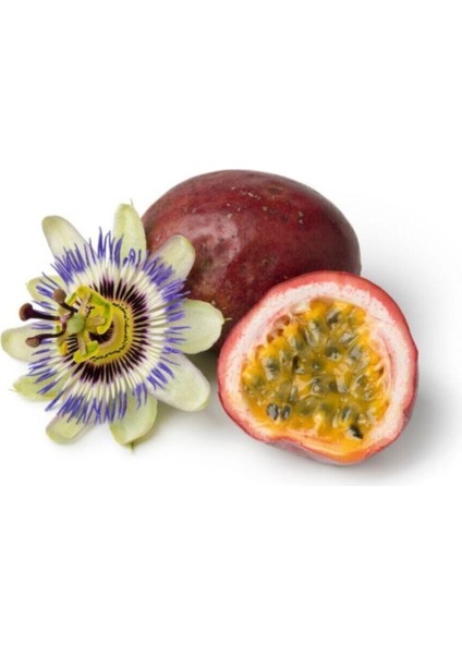 Tropikal Tutku Meyvesi Tohumu 3 Adet Tohum Passion Fruit