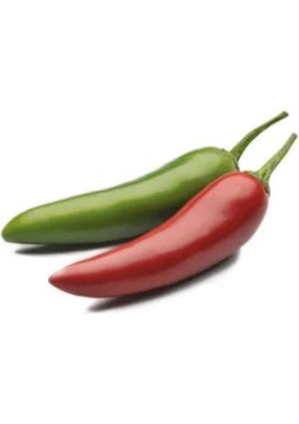 Süper Paket 200 Adet Tohum Ithal Çok Acı Jalapeno Meksika Biberi Tohumu