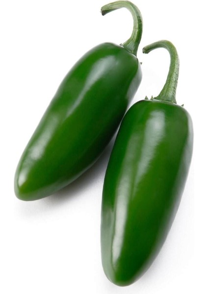 Acı Jalapeno Biberi Tohumu 20+ Adet fırsatları